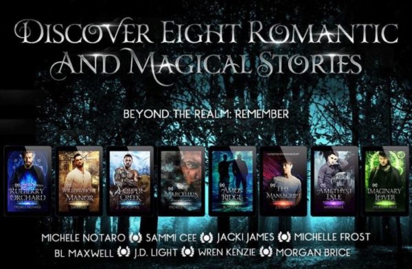 Beyond the Realm: Remember (8 book series)