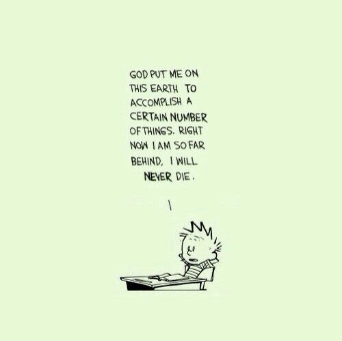 calvin hobbes